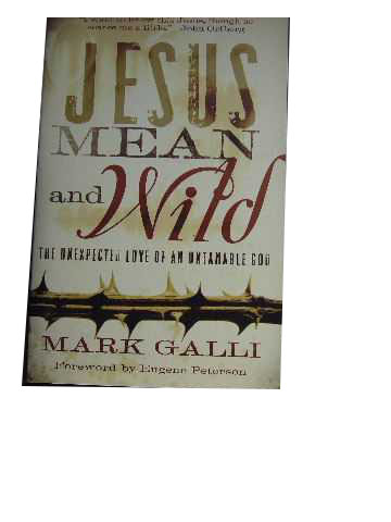 Jesus Mean and Wild: The Unexpected Love of an Untamable God